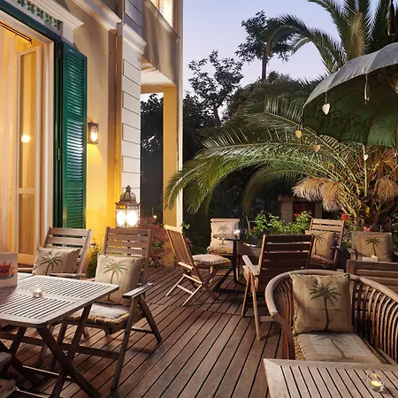 Palm Gallery Hotel