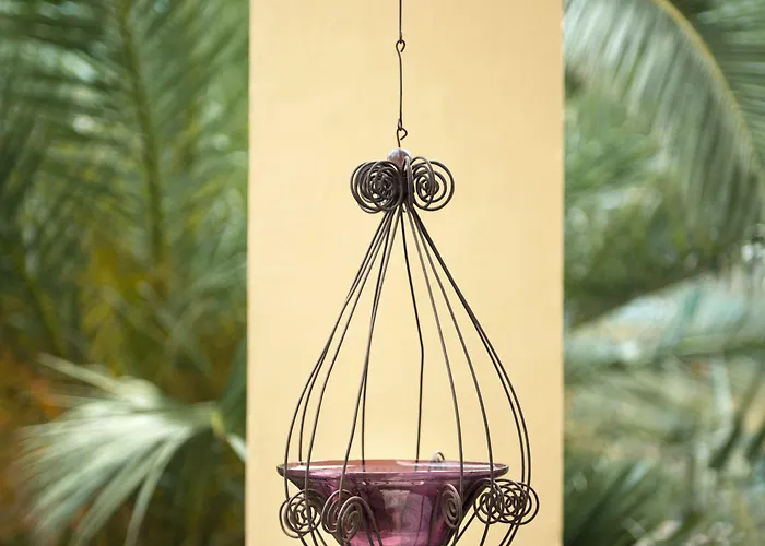 Palm Gallery Rome